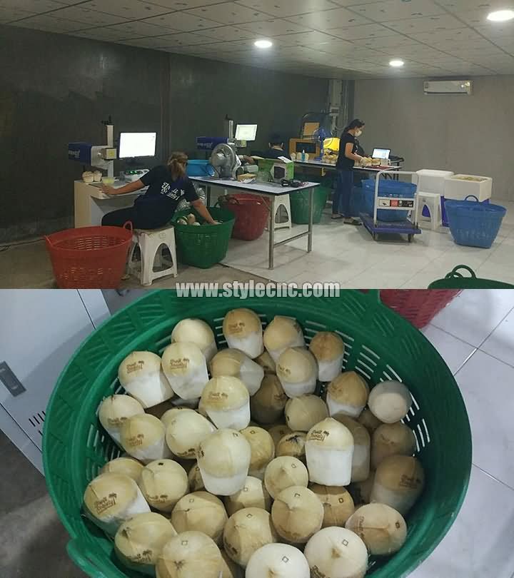 泰國椰子激光雕刻機