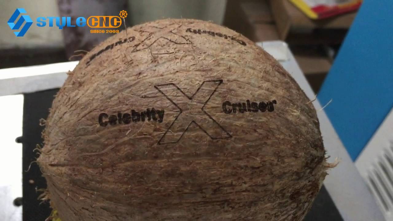 新鮮椰子激光雕刻打標機 新鮮椰子激光雕刻打標機